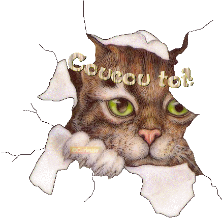minou que j aime