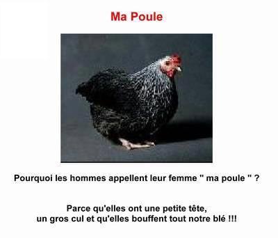 C VACHE